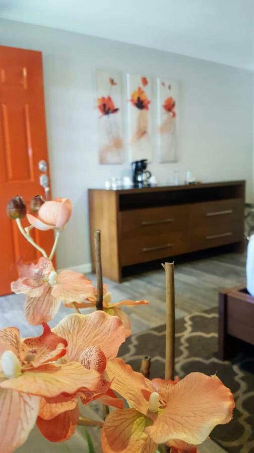 ホテル Quinta Arratz Villa de Juarez エクステリア 写真